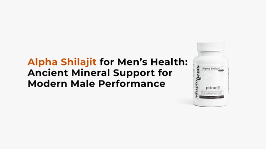 Shilajit for Men’s Health: Ancient Mineral Support for Modern Male Performance