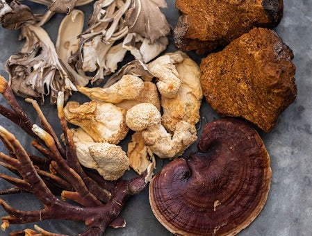 Understanding the magical Power of Adaptogenic Mushrooms: Why Mushroom Gummies Are Your New Best Friend