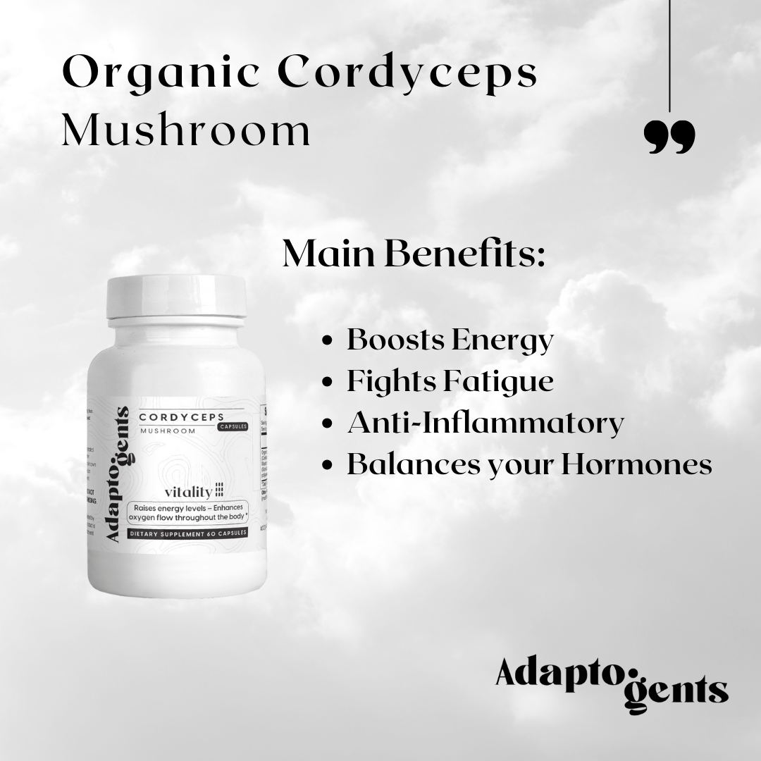 Organic Cordyceps - Adaptogents